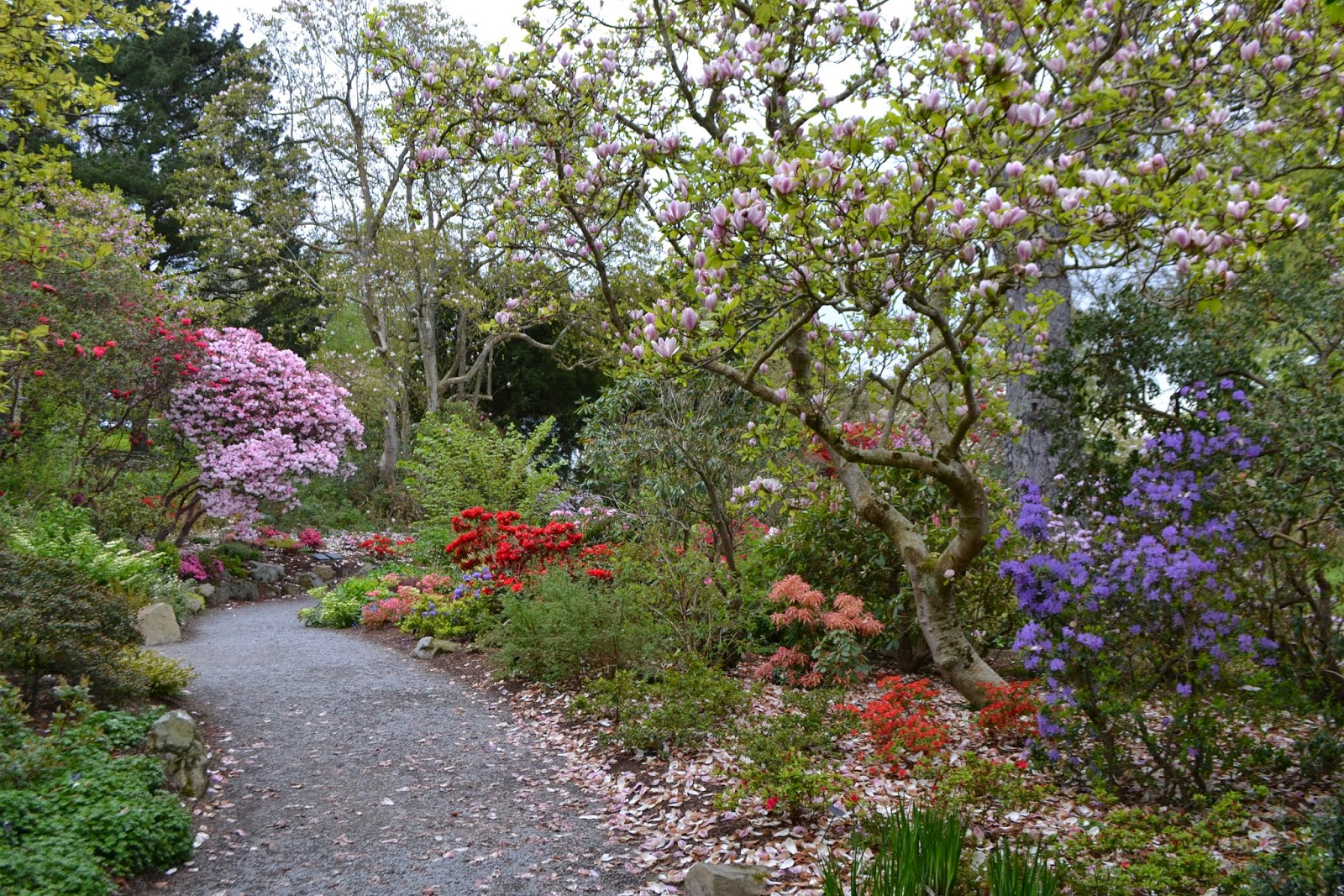 Exploring North Wales Spring at Bodnant Gardens