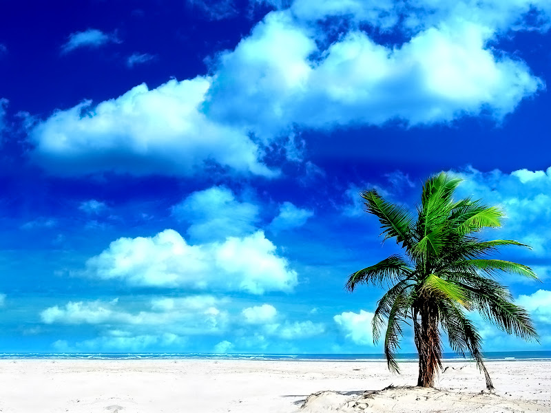 Zomer strand Wallpapers title=