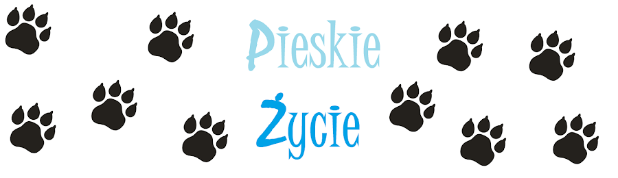 Pieskie życie