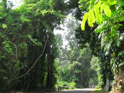 wisata kebun raya bogor