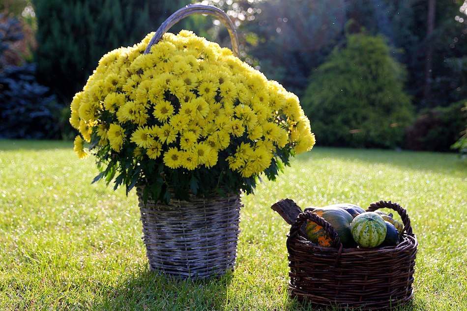 Bernau LIVE - Unsere Tipps zum Wochenende! 2 Bernau LIVE - Dein Stadtmagazin für Bernau bei Berlin