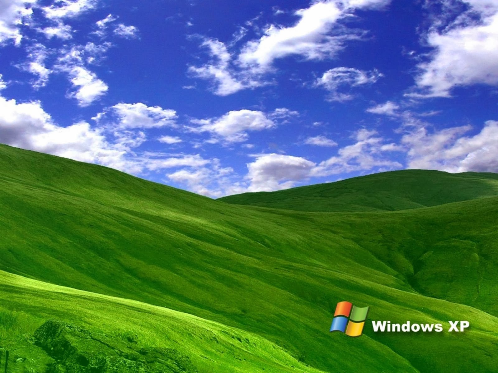 Pictures Grass Windows Xp Wallpapers Pictures Grass Windows Xp Wallpapers
