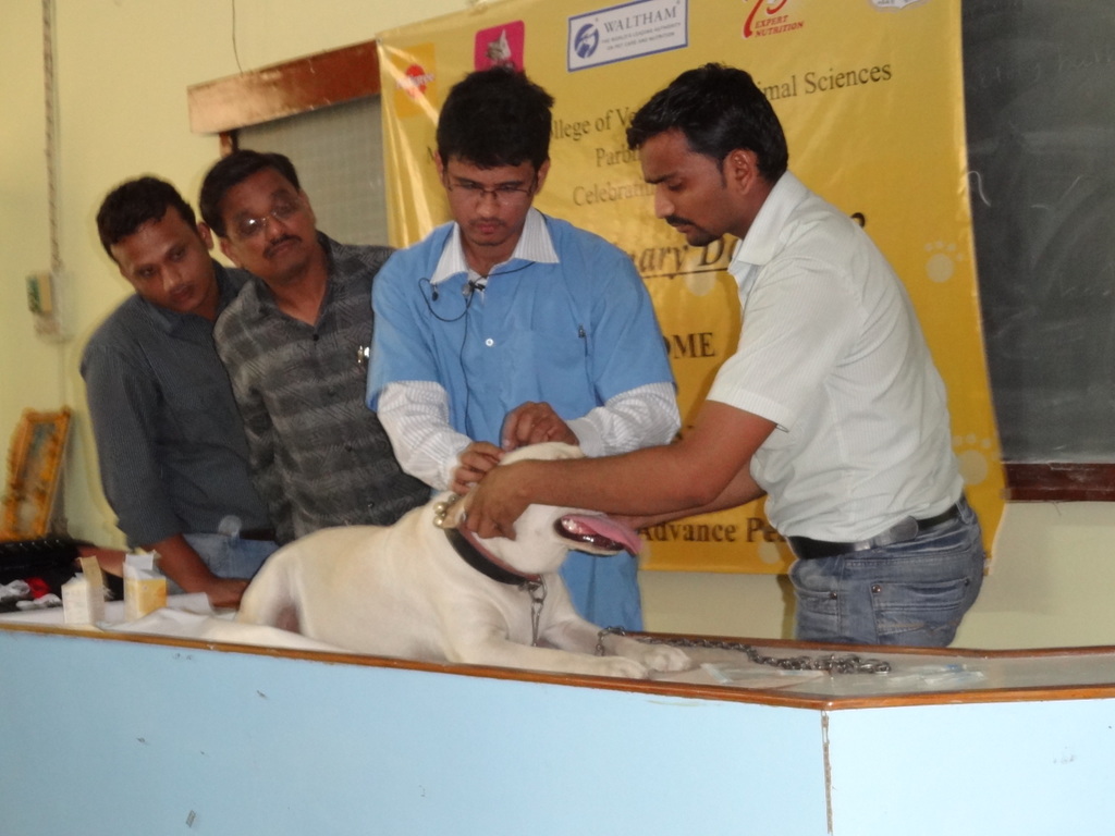 Veterinary Acupuncture AcuMed Veterinary Specialty Lecture