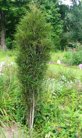 Rotary Botanical Gardens Hort Blog