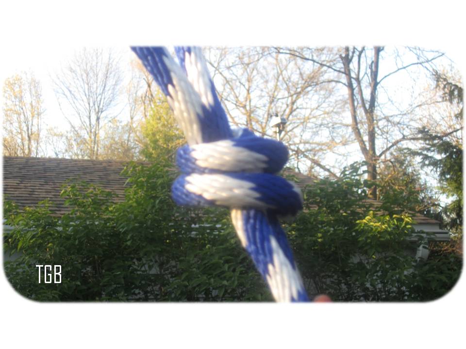 TheGoozBeezClick 13 Fun, Easy Steps on Hanging a Vertical Tire Swing