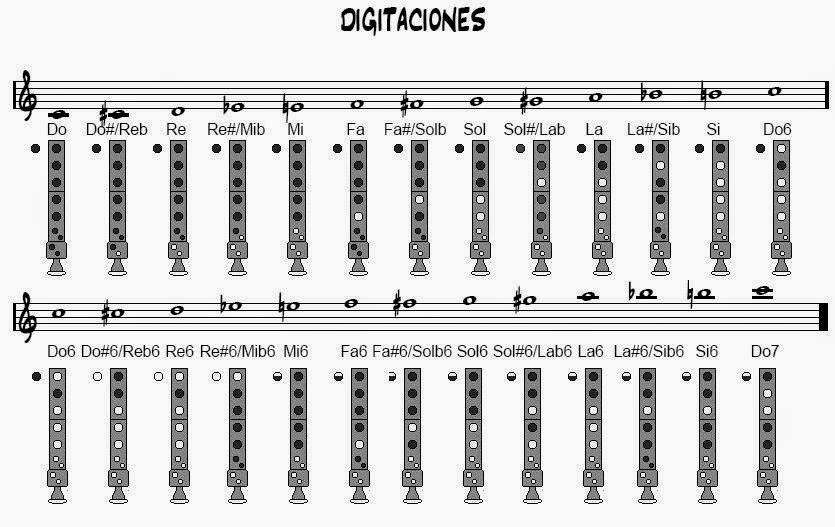 Todas las notas de la flauta dulce | Flautín Extremo