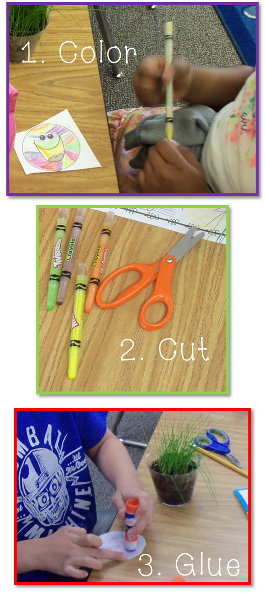 Dream Big Kinders Kindergarten Science Planting Grass with 2 FREEBIES!!