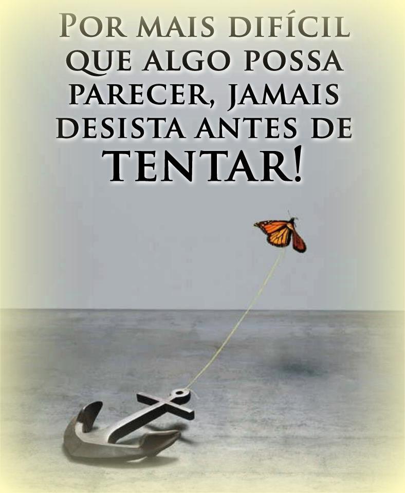 Sol sunshine: frases Sol Sunshine: FRASES