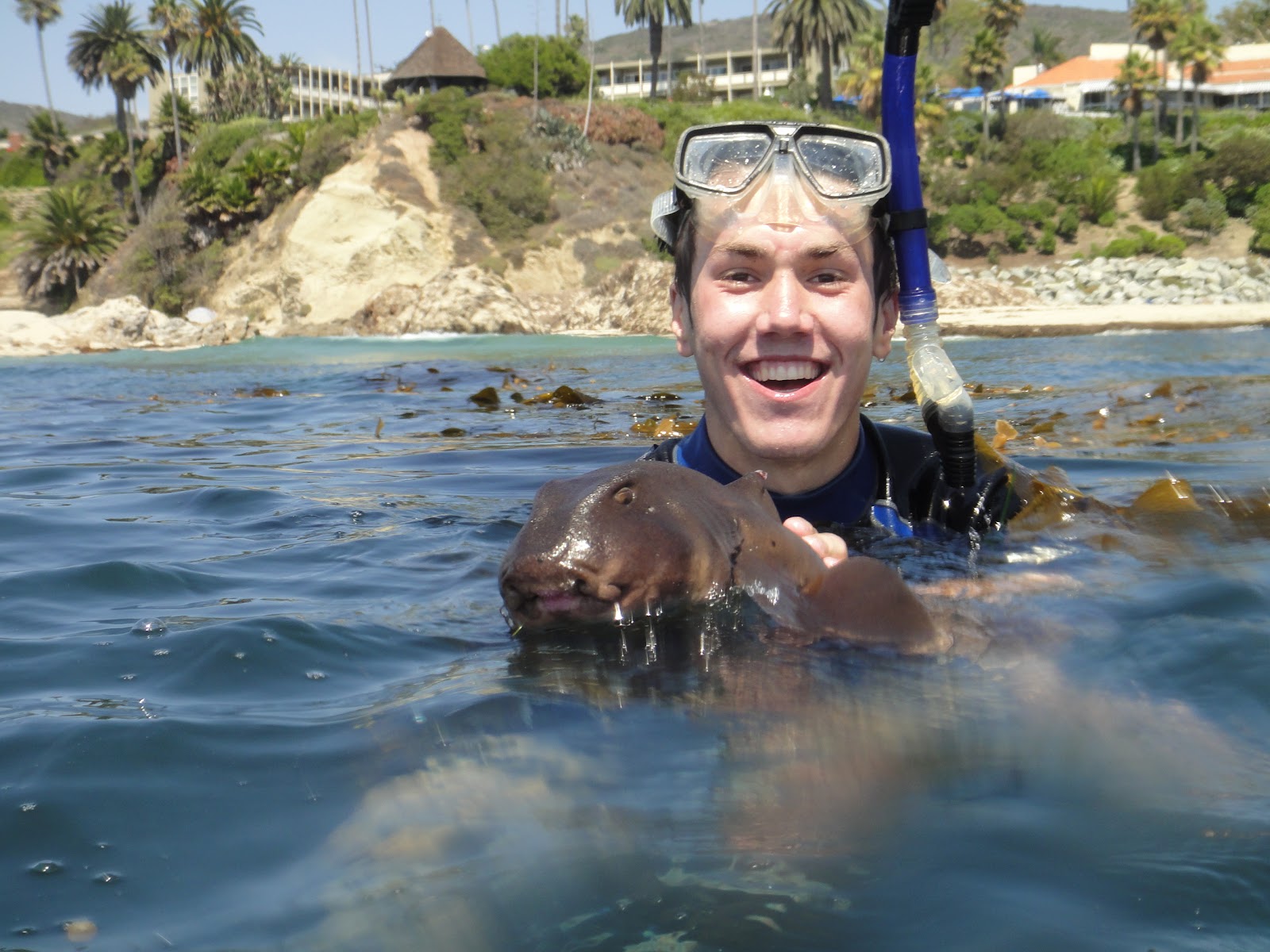 Happy Trails Snorkeling at Laguna Beach
