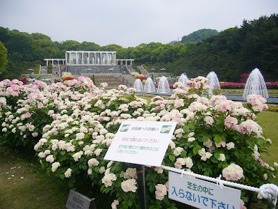 兵庫県・須磨離宮公園 王侯貴族のバラ園