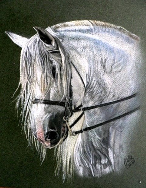 lifelike horse portraits