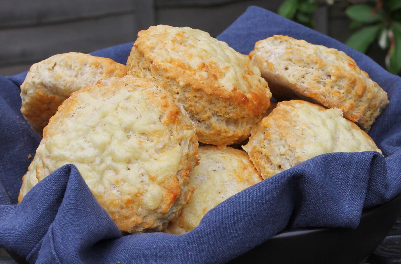 Gluten Free Alchemist Cheese Scones Gluten Free!