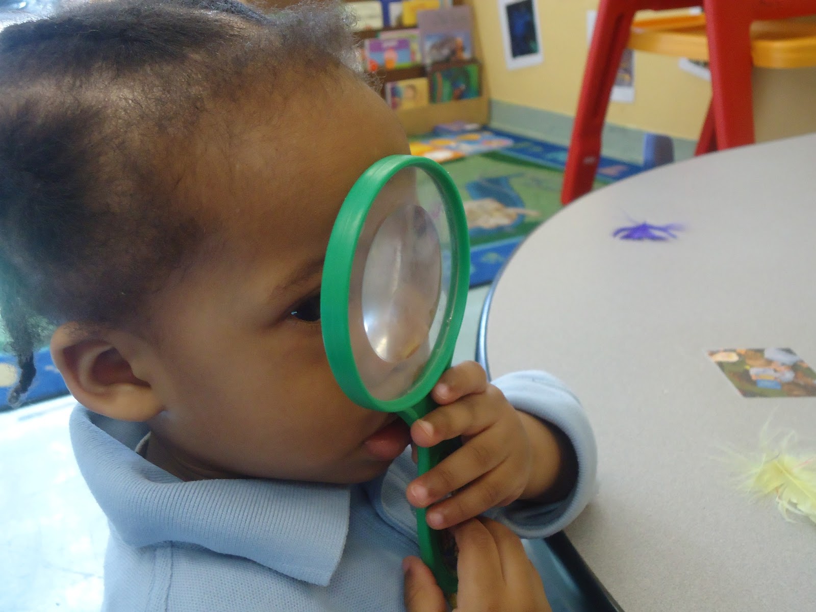 to the HH Toddler Classroom! Exploring Feathers with a