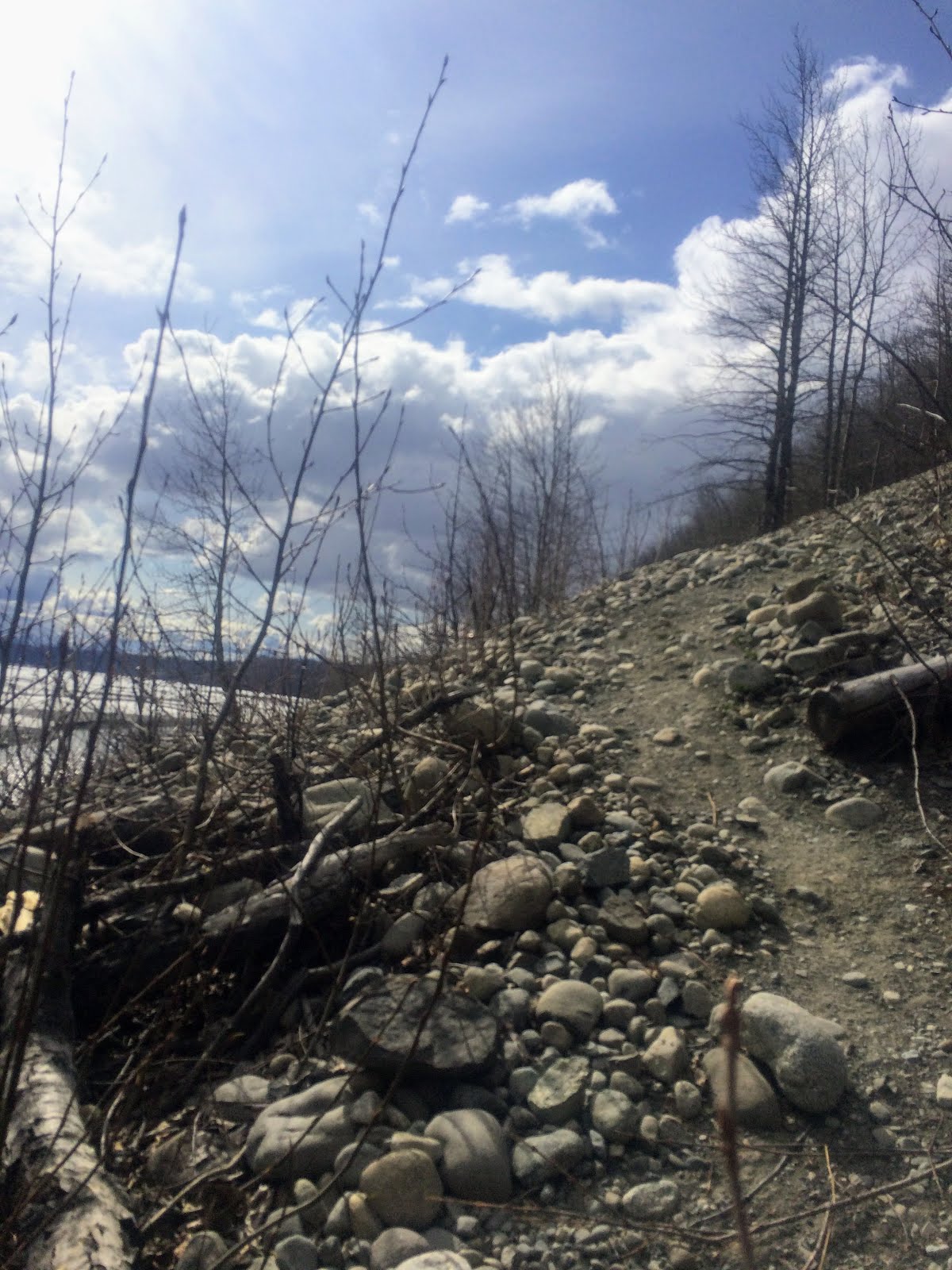 PalmerMoose Creek Railroad trail