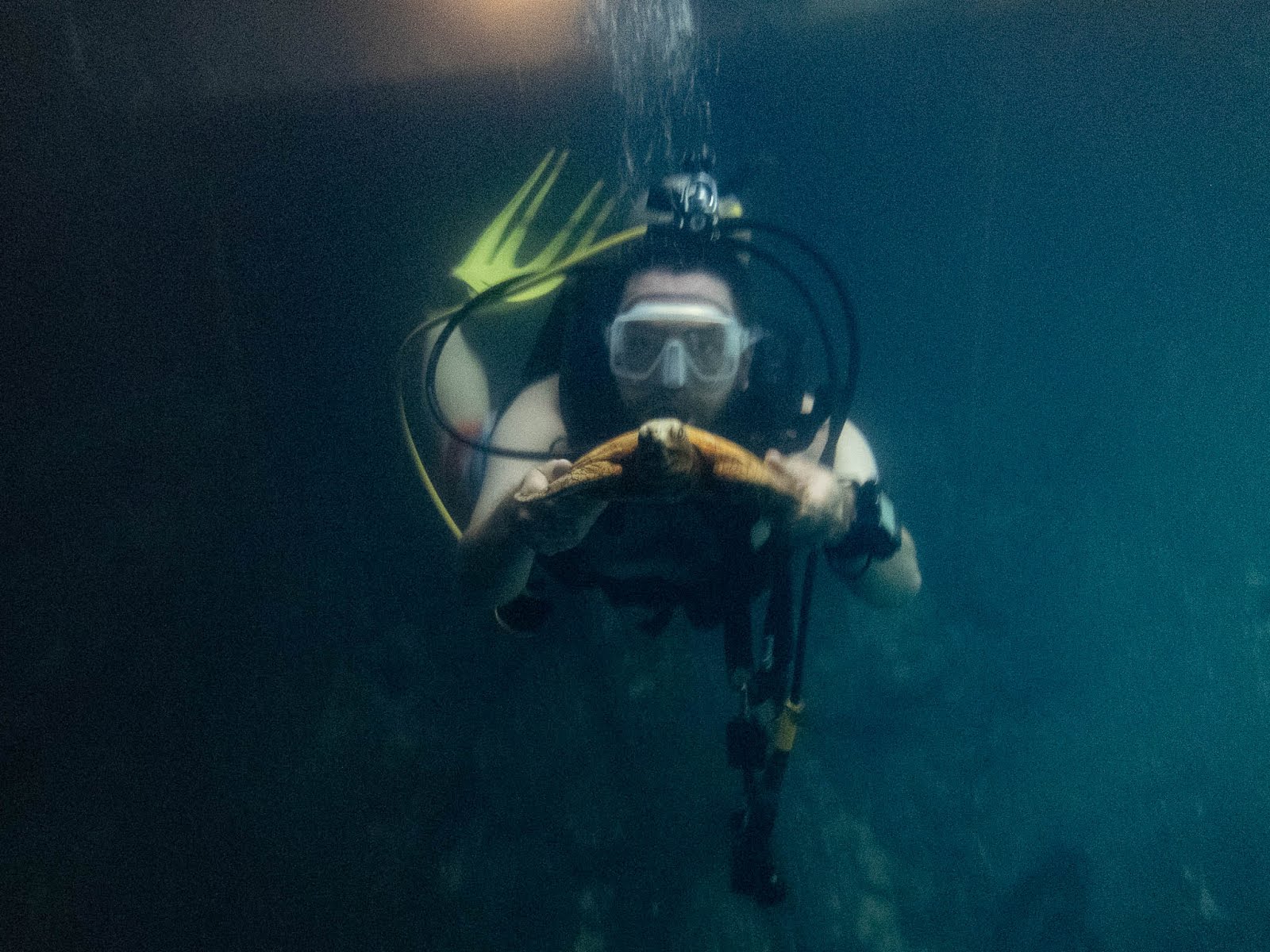 Warm Water Scuba Diving At Homestead Crater Utah First Church of The