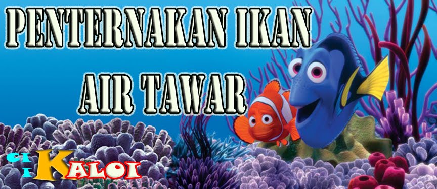 PENTERNAKAN IKAN AIR TAWAR