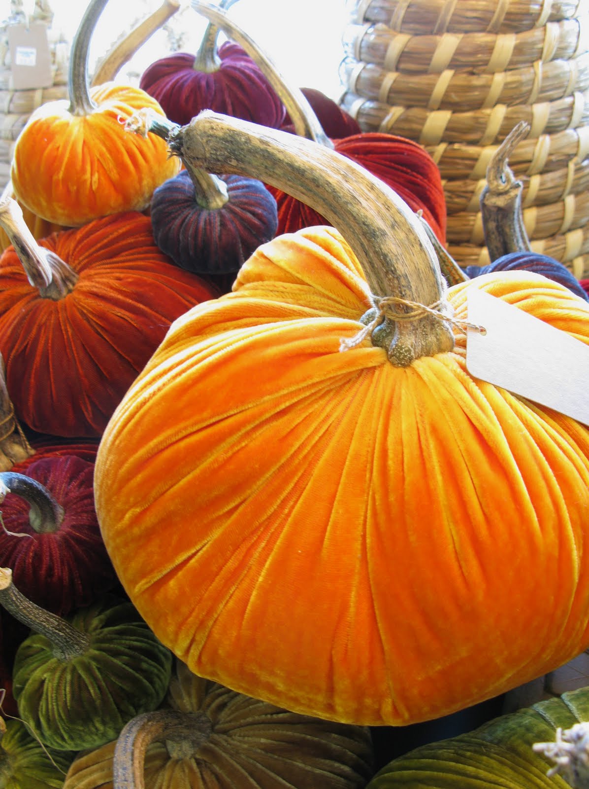 Farmhand Feed and Home Company Velvet Pumpkins!