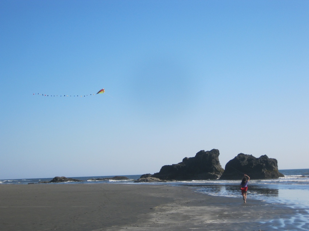 Vividreports Olympic National Park