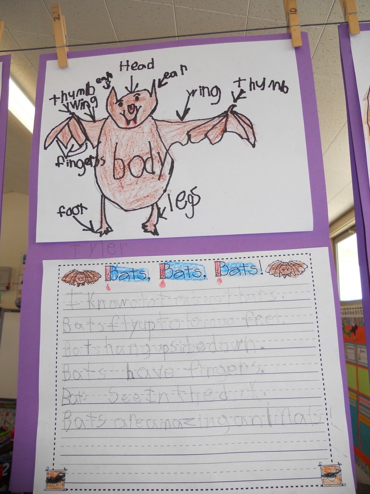 Teacher Bits and Bobs Broken Bones, Bats, and a Thanksgiving Words BONUS!!