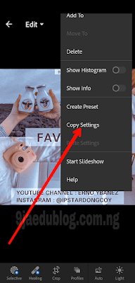 Copy preset file settings