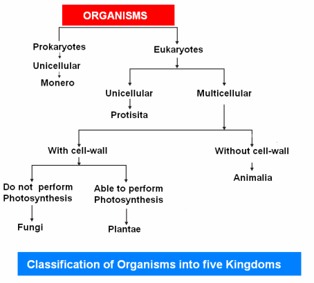 Whittaker Five Kingdom Classification Chart