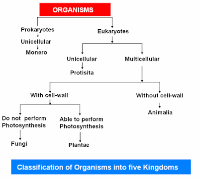 CAN U HELP ME IN DIS QUESTION " give the characterstics of 5 kingdom of