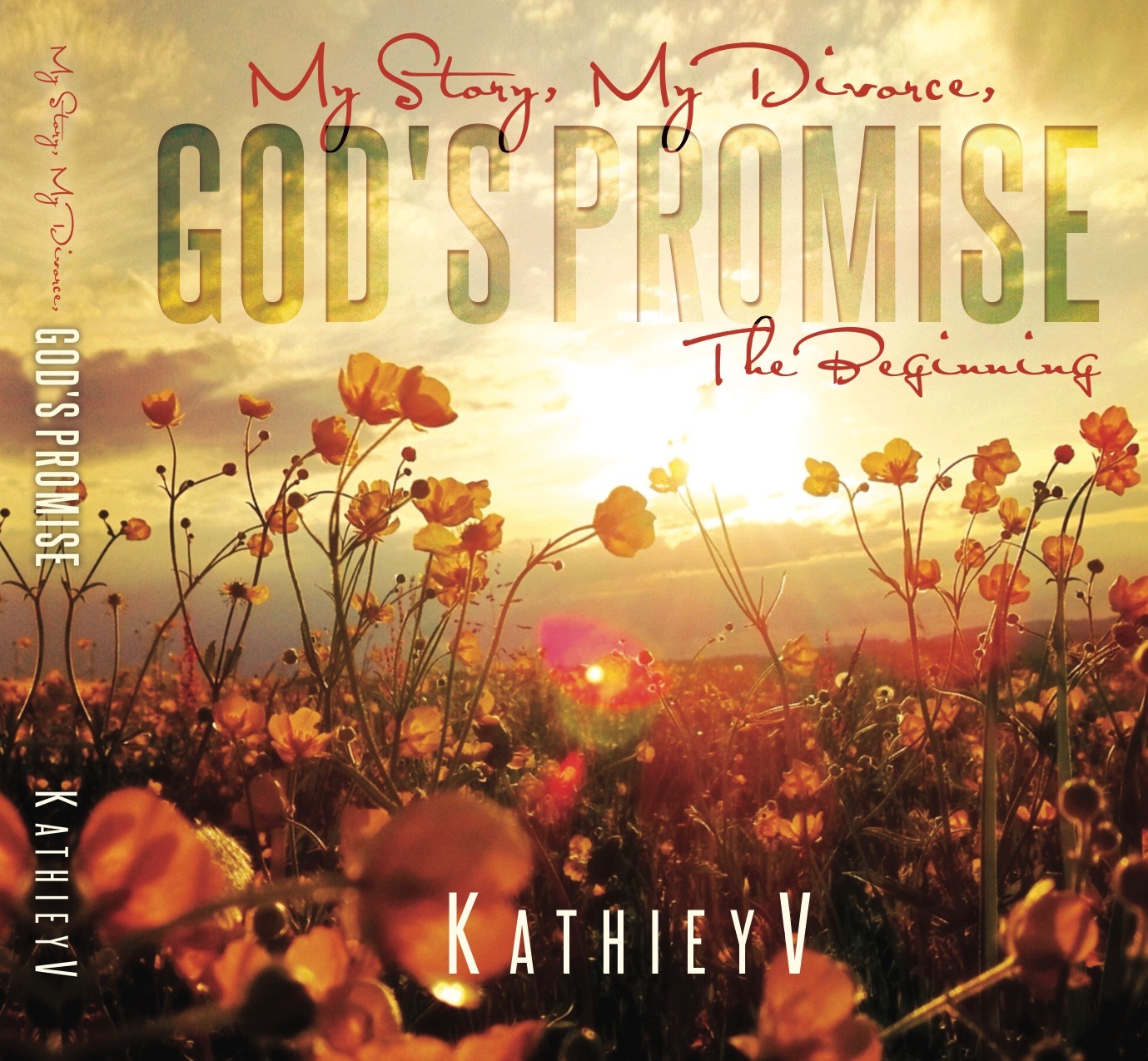 My Story My Divorce God's Promise, The Beginning