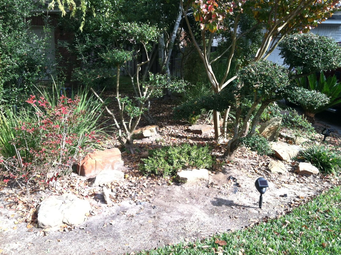 Jason's Japanese Gardens