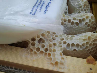 Landofspike's Land of Bees burr comb