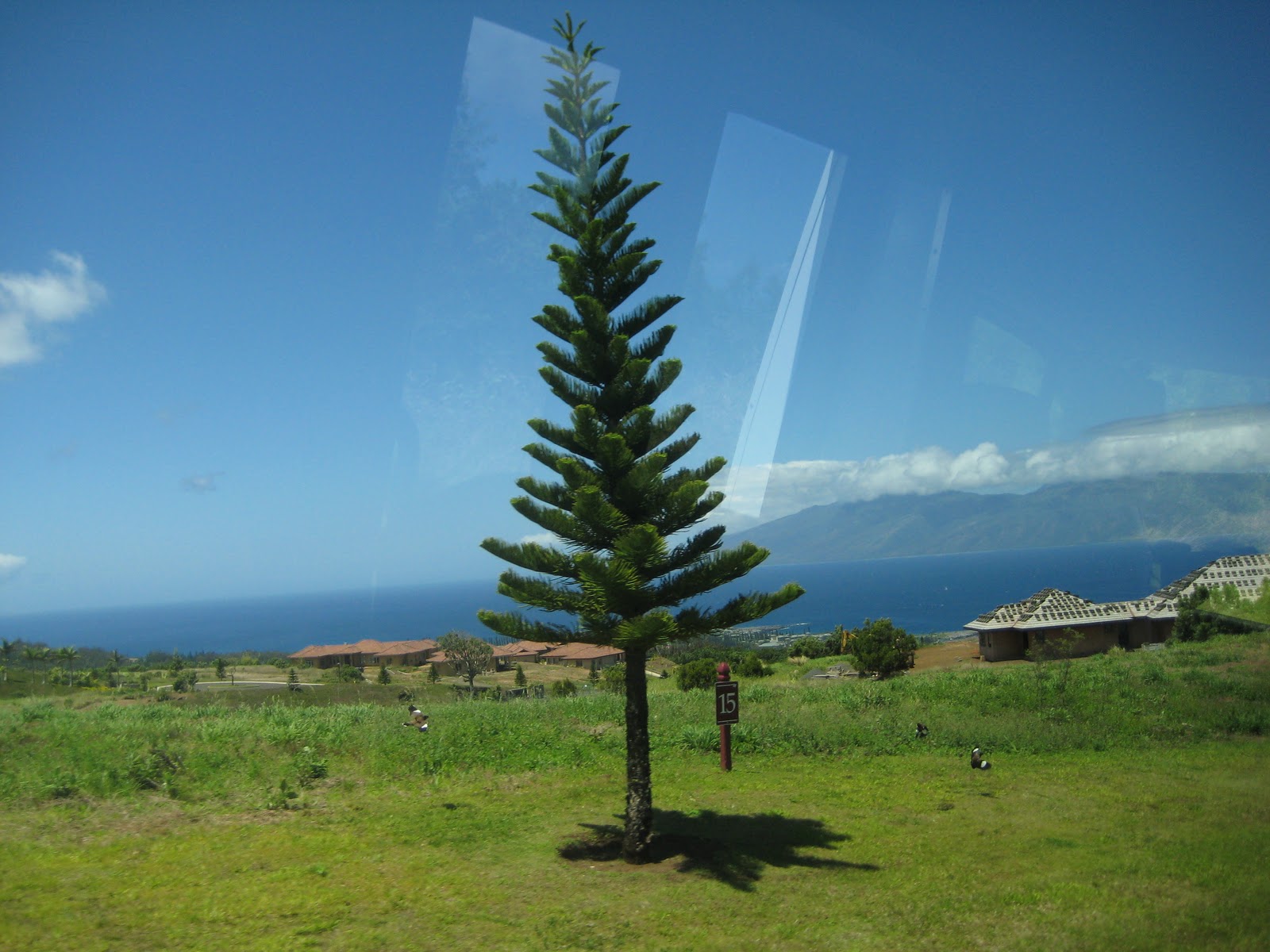 Maui Vacation Guide Hiking in Maui on the Kapalua Resort Trails