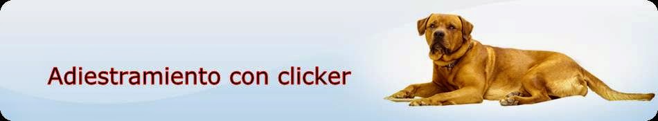 Adiestramiento con clicker