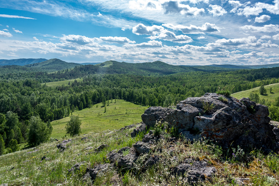 В Кузьму-Демьянку