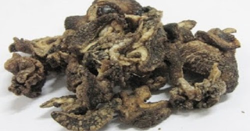 Resep Membuat Keripik Bekicot Khas Kediri