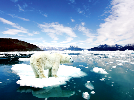 ocean global warming essay ocean global warming essay
