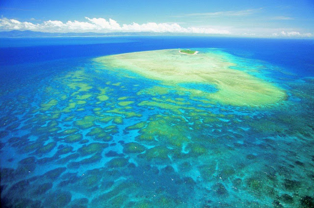 BARRIER REEF-CORAL REEF