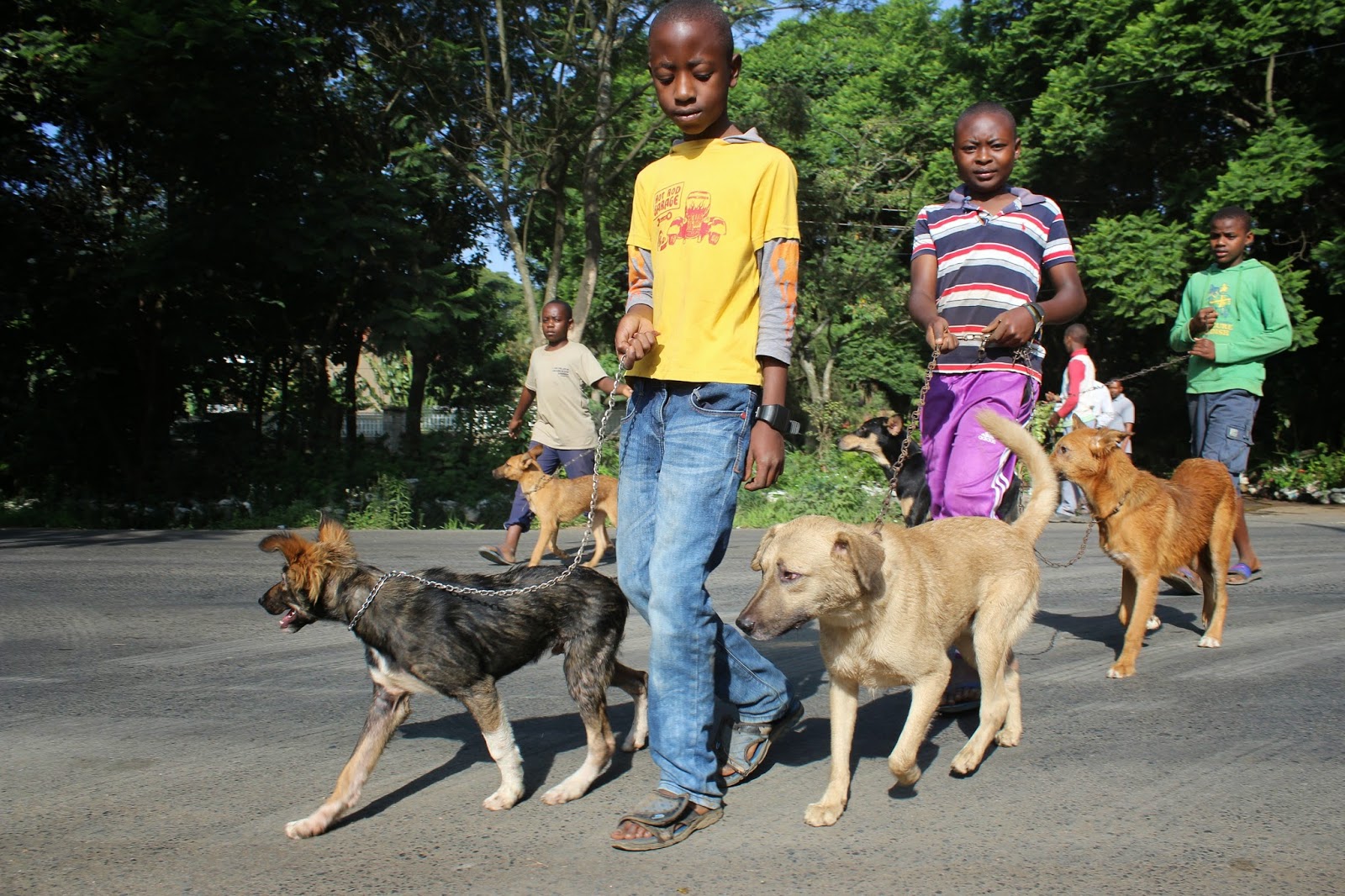 Picha+Za+Wanyama Rweyemamu info blog: ANGALIA PICHA ZA WATOTO WANAVYOPENDA WANYAMA
