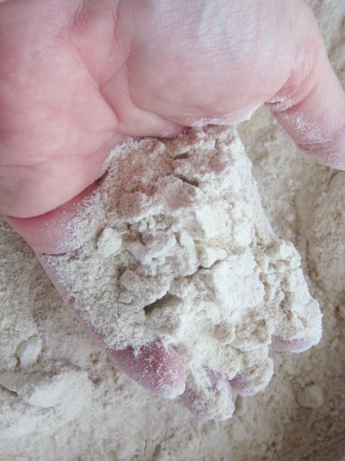 Chef Tess Bakeresse Making wholegrain flour at home in 3 Easy steps