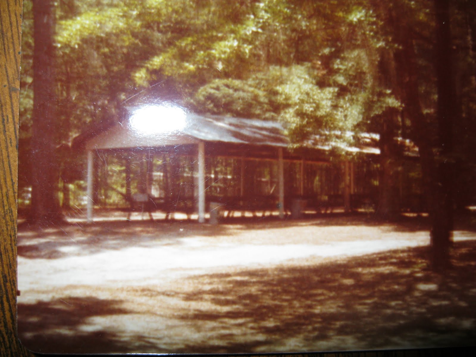 Too Blessed to be Stressed! Wonderful Childhood Memories!