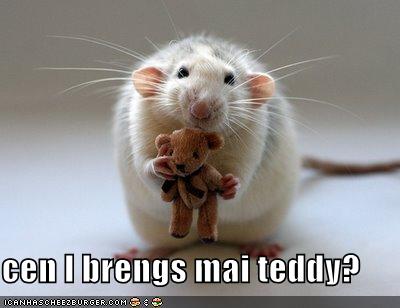 Funny+Rodents.jpg