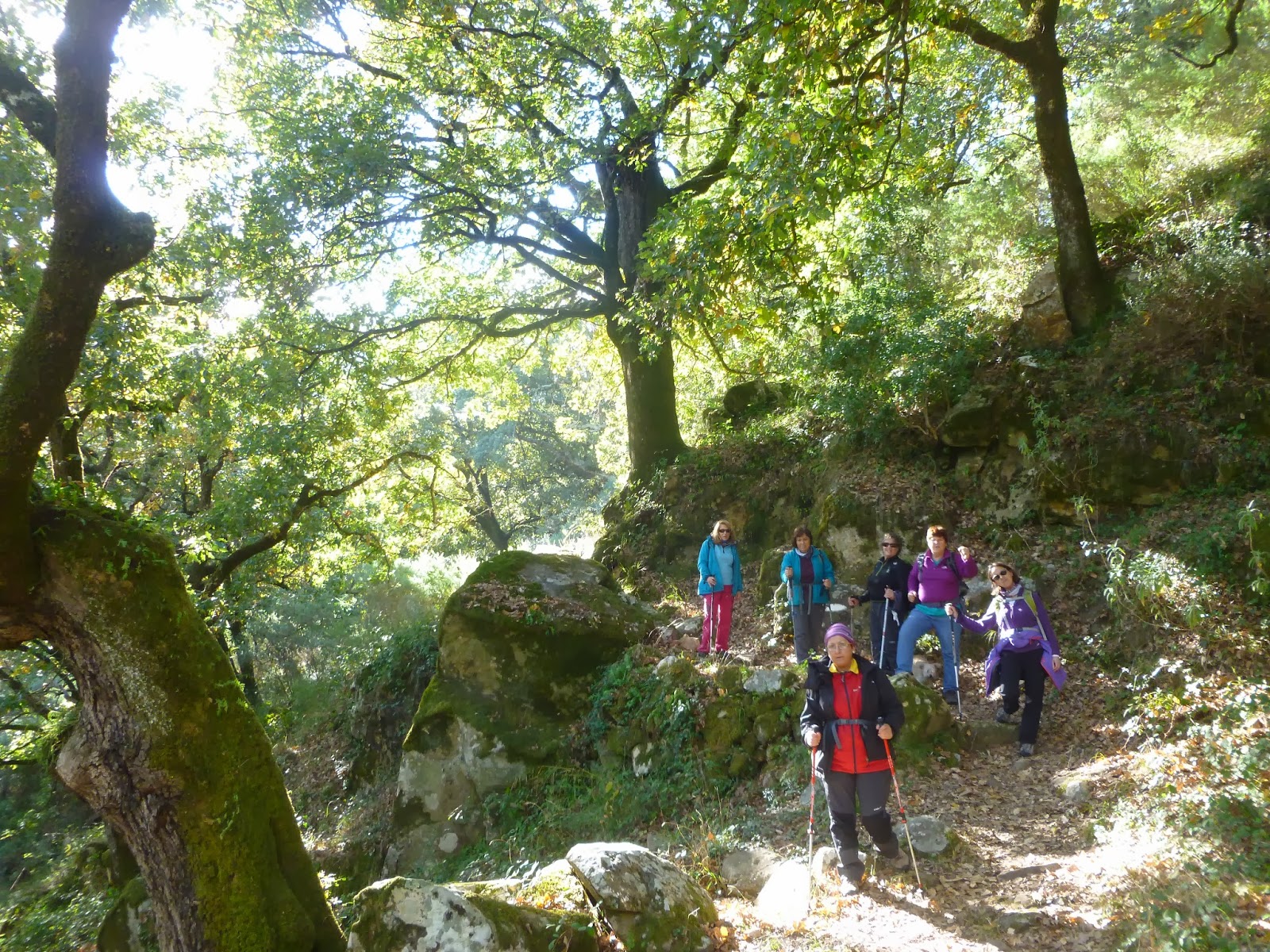 ¿Por dónde va la verea? PARQUE NATURAL DE LOS ALCORNOCALES