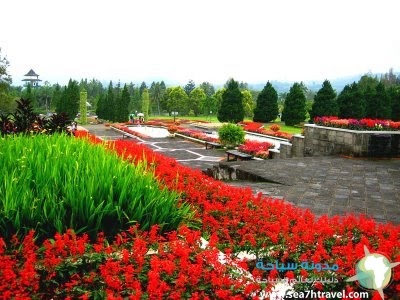 High tourisme: Flower Garden " taman bunga " Indonesia