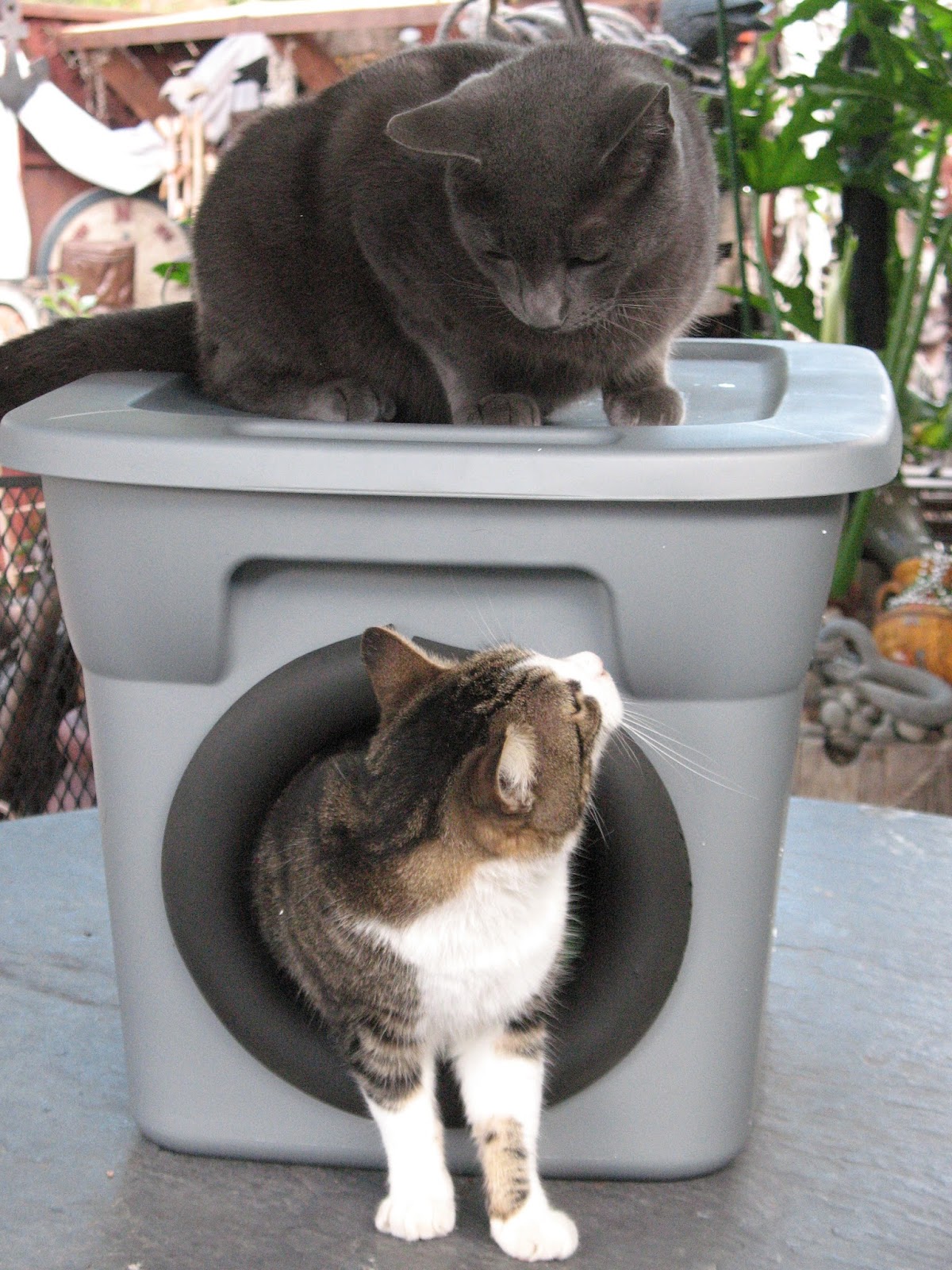 Artsy Fartsy Outdoor Cat Bed For Winter