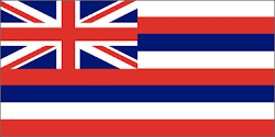 Hawaiian State Flag