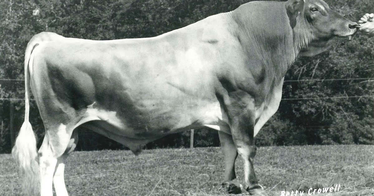 The GENEX Blog A Look Back at Influential Genex Jerseys