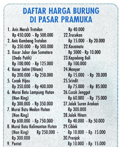 gold oriole daftar harga burung di pasar pramuka gold oriole daftar harga burung di pasar pramuka