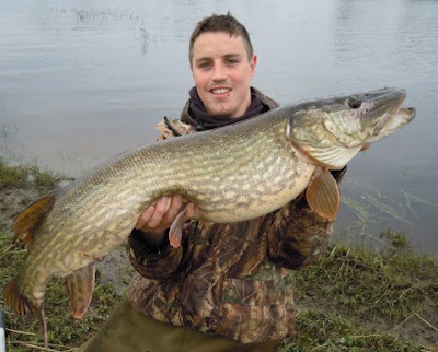 pike%2Bireland%2Bshannon%2Back%2B%2Bbig%2Bfishes%2Bhuge%2Bworld%2Brecord%2Bever%2Bcaught%2Brecords%2Blargest%2BIGFA%2Bgigante%2Bpesce%2Bbiggest%2Bfish%2Blake%2B%2Bocean%2Bsea%2Bmonster%2Bgiant%2Bfreshwater%2Bsaltwater%2Bpoisson%2Bg%C3%A9ant%2Bfisch%2Bimages%2Bpictures%2B2.jpg