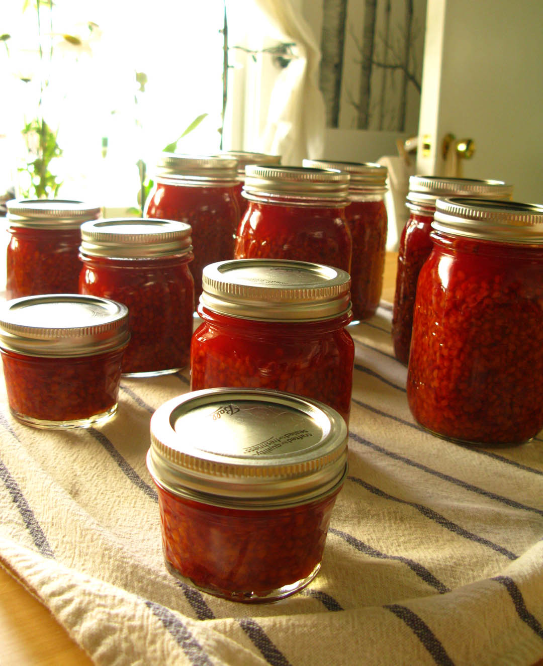 Pacific Rain harvest 2012 salmonberry jam