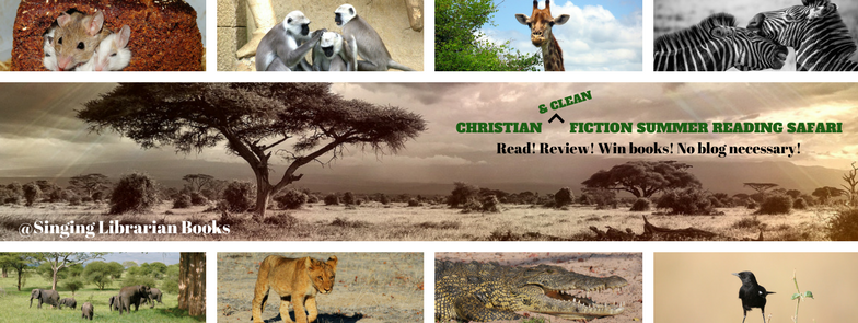 Christian Fiction Summer Reading Safari