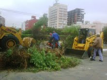 La Unidad de Gestión Municipal de Santa Teresita realiza tareas de poda sobre Costanera 2 PODA+TERESA
