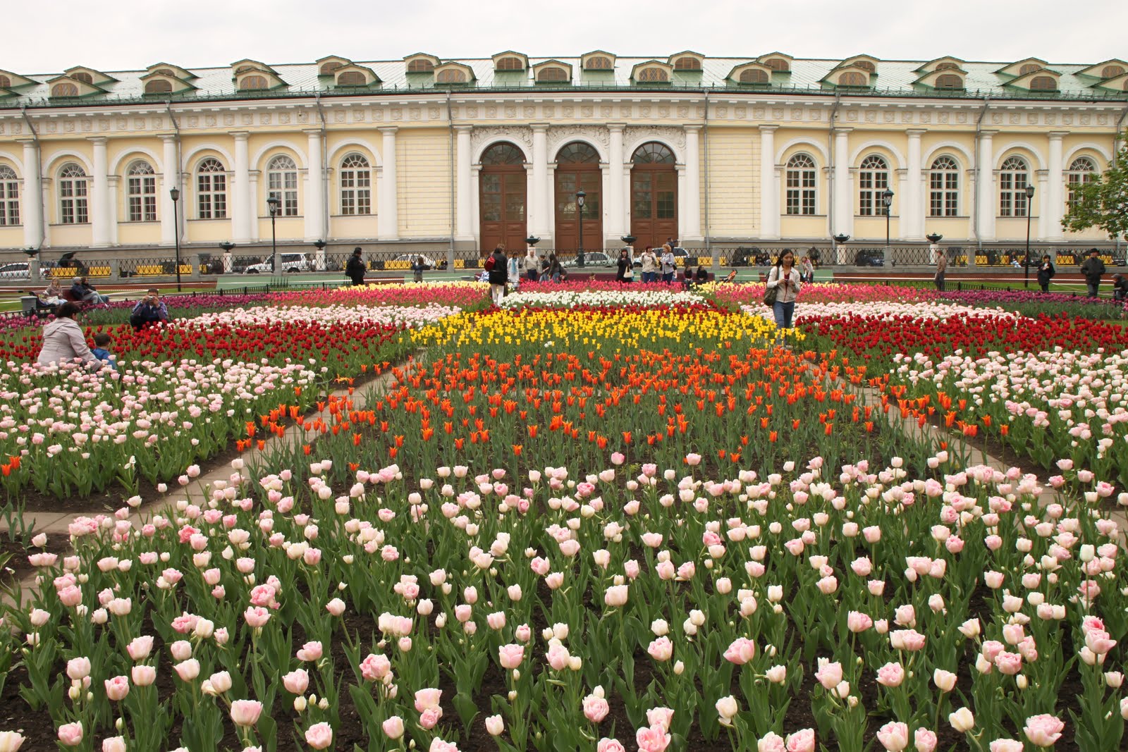 Moscow Daily Photo Flowers